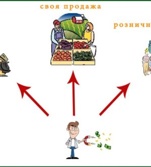 Сбыт зеленого лука