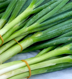 Лук батун из семян, выращивание и уход в открытом грунте