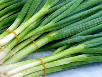 Лук батун из семян, выращивание и уход в открытом грунте