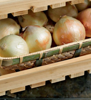 Лук после уборки с грядки